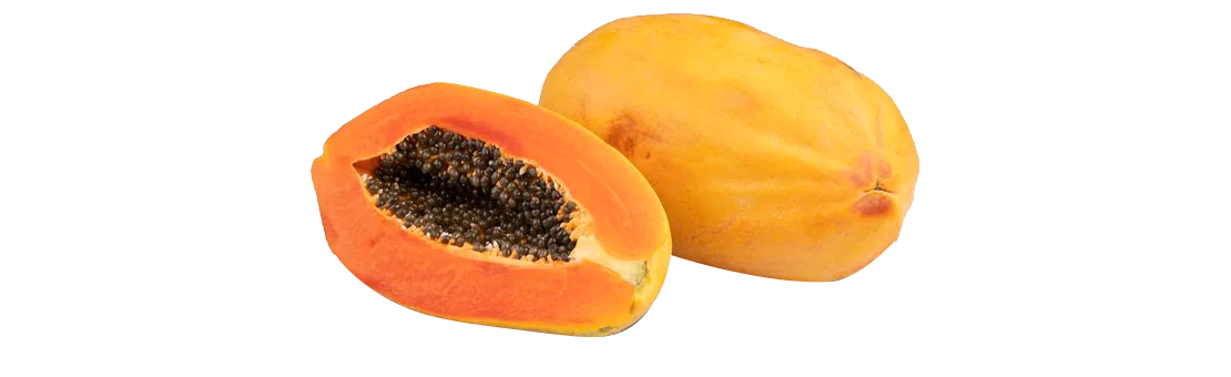 Papaya Maradol